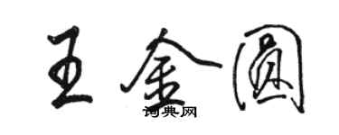 骆恒光王金圆行书个性签名怎么写