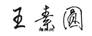骆恒光王素圆行书个性签名怎么写