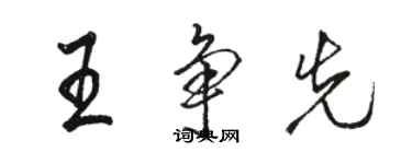 骆恒光王争先行书个性签名怎么写