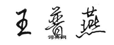 骆恒光王普燕行书个性签名怎么写