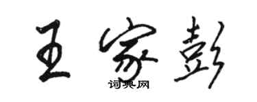 骆恒光王家彭行书个性签名怎么写