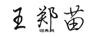 骆恒光王郑苗行书个性签名怎么写