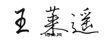 骆恒光王莱遥行书个性签名怎么写