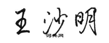 骆恒光王沙明行书个性签名怎么写