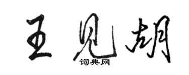骆恒光王见胡行书个性签名怎么写