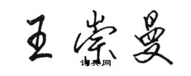 骆恒光王崇曼行书个性签名怎么写
