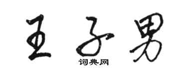 骆恒光王子男行书个性签名怎么写