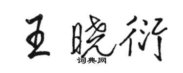 骆恒光王晓衍行书个性签名怎么写