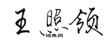 骆恒光王照领行书个性签名怎么写