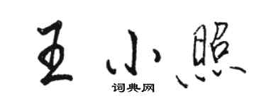 骆恒光王小照行书个性签名怎么写