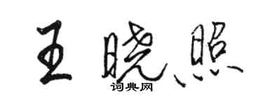 骆恒光王晓照行书个性签名怎么写