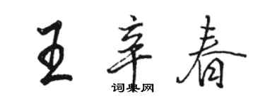 骆恒光王辛春行书个性签名怎么写