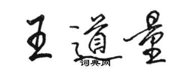 骆恒光王道量行书个性签名怎么写