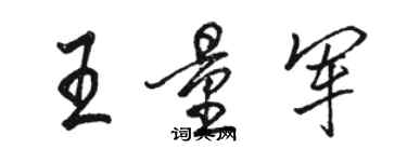 骆恒光王量军行书个性签名怎么写