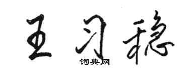 骆恒光王习稳行书个性签名怎么写