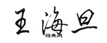 骆恒光王海旦行书个性签名怎么写