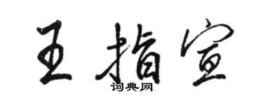 骆恒光王指宣行书个性签名怎么写