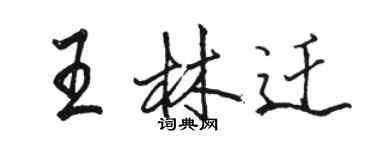 骆恒光王林迁行书个性签名怎么写