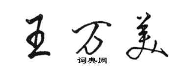 骆恒光王万美行书个性签名怎么写
