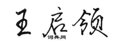 骆恒光王启领行书个性签名怎么写