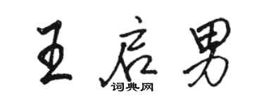 骆恒光王启男行书个性签名怎么写