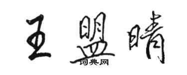 骆恒光王盟晴行书个性签名怎么写