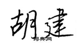 王正良胡建行书个性签名怎么写