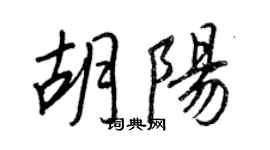 王正良胡阳行书个性签名怎么写
