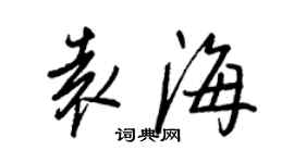 王正良袁海行书个性签名怎么写