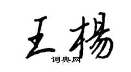 王正良王杨行书个性签名怎么写