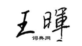 王正良王晖行书个性签名怎么写