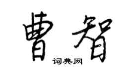 王正良曹智行书个性签名怎么写