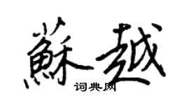 王正良苏越行书个性签名怎么写