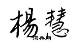 王正良杨慧行书个性签名怎么写