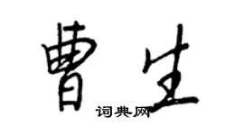 王正良曹生行书个性签名怎么写
