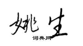 王正良姚生行书个性签名怎么写