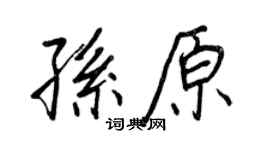 王正良孙原行书个性签名怎么写