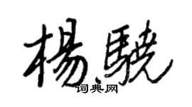 王正良杨骁行书个性签名怎么写