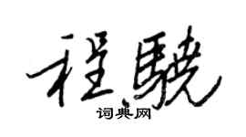 王正良程骁行书个性签名怎么写
