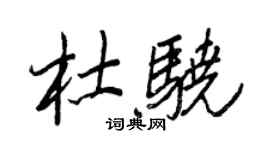 王正良杜骁行书个性签名怎么写