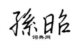 王正良孙昭行书个性签名怎么写