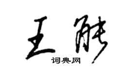 王正良王能行书个性签名怎么写