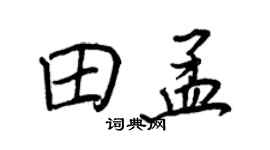 王正良田孟行书个性签名怎么写