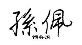 王正良孙佩行书个性签名怎么写