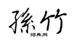 王正良孙竹行书个性签名怎么写