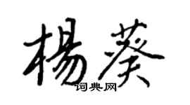 王正良杨葵行书个性签名怎么写