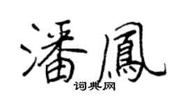 王正良潘凤行书个性签名怎么写