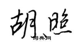王正良胡照行书个性签名怎么写