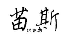 王正良苗斯行书个性签名怎么写
