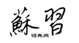 王正良苏习行书个性签名怎么写